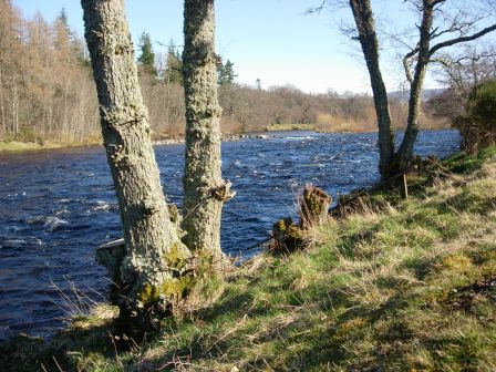 Le mythique Junction pool - Ballindaloch - Spey