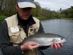 Blue trout à Haddo