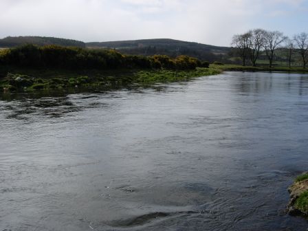 Manse pool - Don 5-04-08