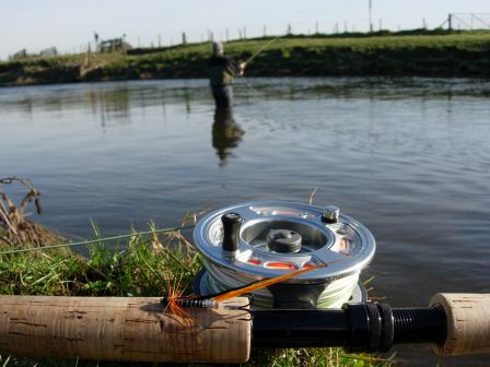 Cascade tubefly - Pool de Kintore