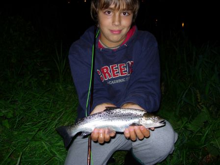 Seatrout Ythan