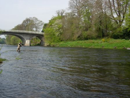 Spey cast sur la Dee à  Banchory