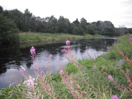 Don_Kenmay_looking_downstream_the_pool.jpg