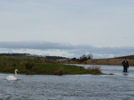 Emile en combat sur un cygne