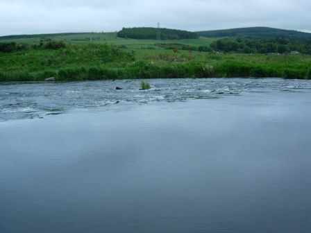 Très gros poisson repéré en fin de lisse