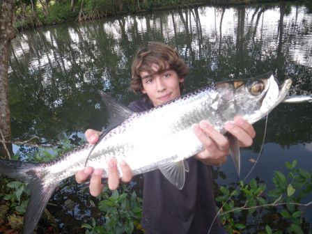 Les premiers tarpons de Romain