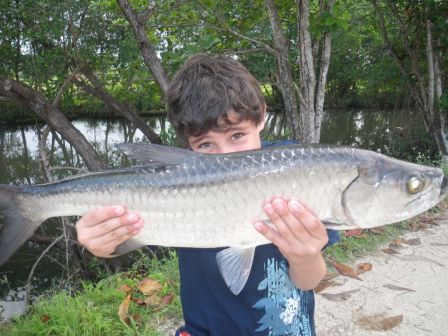 Beau tarpon combattu par Louis