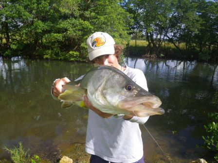 Gros Snook pour Rom